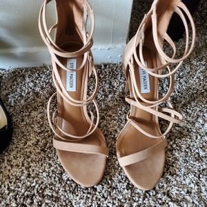 STEVE MADDEN